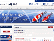 Tablet Screenshot of nishikigoiten.com